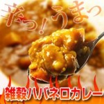 【ダイエットフード】雑穀ハバネロカレー
